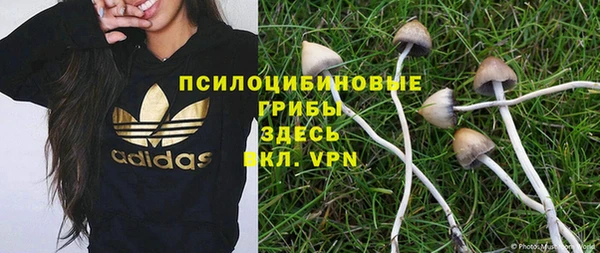 прущие крисы Вязьма