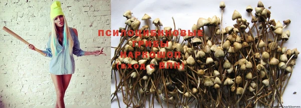 прущие крисы Вязьма