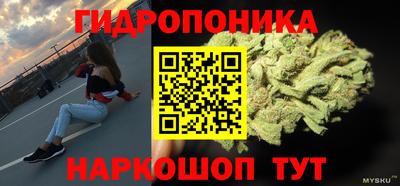 СК Ставрополь