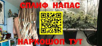 сатива Кумертау